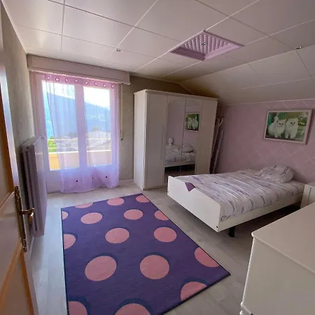 Appartement Edelweiss 公寓 *